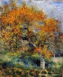 De Perenboom De Perenboom