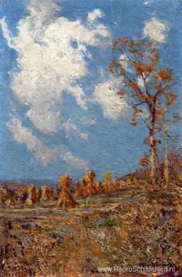 Veld met maïsschokken Veld met maïsschokken