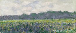 Veld met gele irissen in Giverny Veld met gele irissen in Giverny