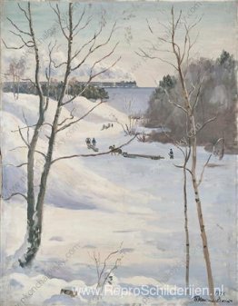 Winterlandschap met trein Winterlandschap met trein