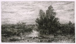 Visser op rivier met eenden Visser op rivier met eenden