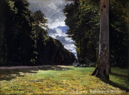 De Pave de Chailly in het bos van Fontainbleau De Pave de Chailly in het bos van Fontainbleau