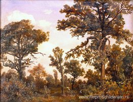 De grote eikenboom, het bos van Fontainebleau De grote eikenboom, het bos van Fontainebleau