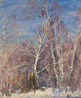 Berken in de sneeuw Berken in de sneeuw