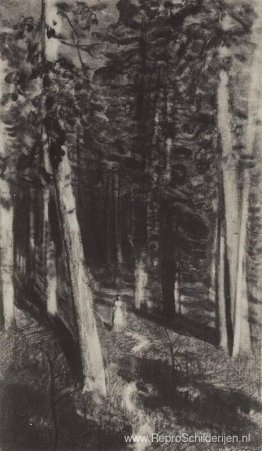 In het bos In het bos