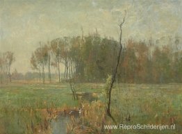 Zomermist Zomermist