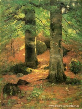 Vernon Beuken Vernon Beuken