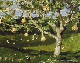 Kalebas Boom Kalebas Boom