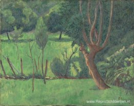 Landschap Landschap