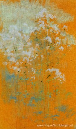 Wilde bloemen Wilde bloemen