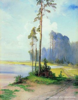 Zomer landschap. Dennen Zomer landschap. Dennen