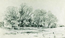 Bomen in het veld. Bratsevo Bomen in het veld. Bratsevo