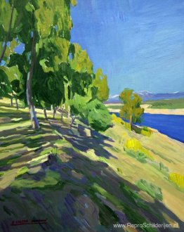 Landschap van Granadilla Landschap van Granadilla