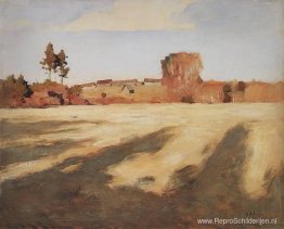 Veld na de oogst. Veld na de oogst.