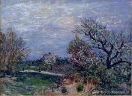 Grens van het bos Grens van het bos