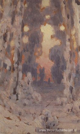 Zonnevlekken bij vorst. Zonsondergang in het bos Zonnevlekken bij vorst. Zonsondergang in het bos