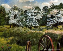 Marsh Meadows, Cookham Marsh Meadows, Cookham