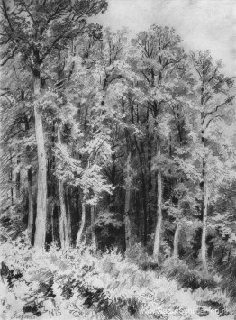 Bomen. Kozlovka-Zaseka Bomen. Kozlovka-Zaseka