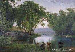 Aan de Catawissa-kreek Aan de Catawissa-kreek