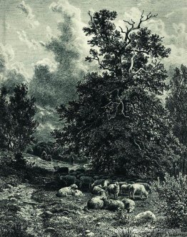 Kudde schapen aan de bosrand Kudde schapen aan de bosrand