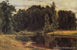 Vijver in een oud park Vijver in een oud park