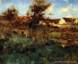 Landschap Landschap