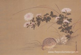 Kwartels en Chrysanten Kwartels en Chrysanten