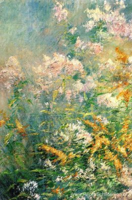 Weidebloemen (guldenroede en wilde aster) Weidebloemen (guldenroede en wilde aster)