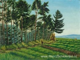 Rand van het bos bij Langenargen Rand van het bos bij Langenargen