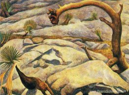 Niet gedetecteerd Niet gedetecteerd