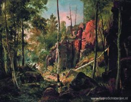 Uitzicht op Valaam-eiland. Kukko Uitzicht op Valaam-eiland. Kukko