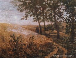 Avond landschap Avond landschap