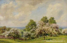 Lente zonneschijn Lente zonneschijn