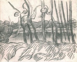 Een rij kale bomen Een rij kale bomen