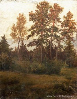 Rand van het bos Rand van het bos