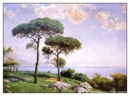 Pistachebomen Pistachebomen