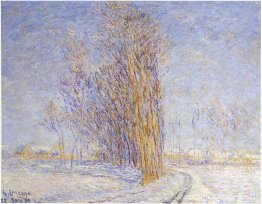 Landschap in sneeuw Landschap in sneeuw
