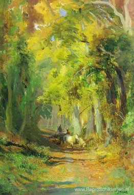 Herfst bos Herfst bos