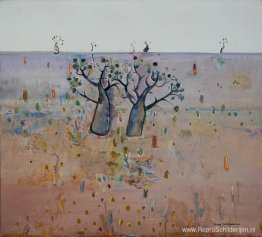 Boab-bomen, Kimberley's Boab-bomen, Kimberley's