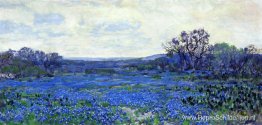 Gebied van Bluebonnets Gebied van Bluebonnets