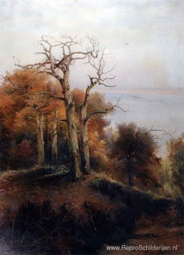 Herfstbos. Kuntsevo (verdomde plaats) Herfstbos. Kuntsevo (verdomde plaats)