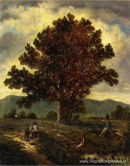 Het pad naar huis Het pad naar huis