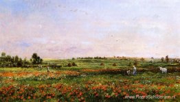 Velden in de maand juni Velden in de maand juni