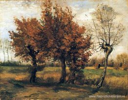 Herfstlandschap met vier bomen Herfstlandschap met vier bomen