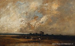 Landschap Landschap