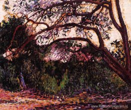 Woedend landschap Woedend landschap