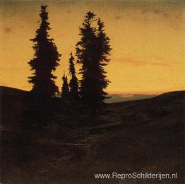Sparren bij zonsondergang Sparren bij zonsondergang