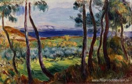 Dennen in de omgeving van Cagnes Dennen in de omgeving van Cagnes