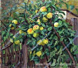 Appelboom bij het hek Appelboom bij het hek