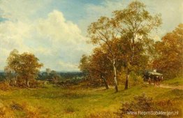 Op Ripple Common, Worcestershire Op Ripple Common, Worcestershire
